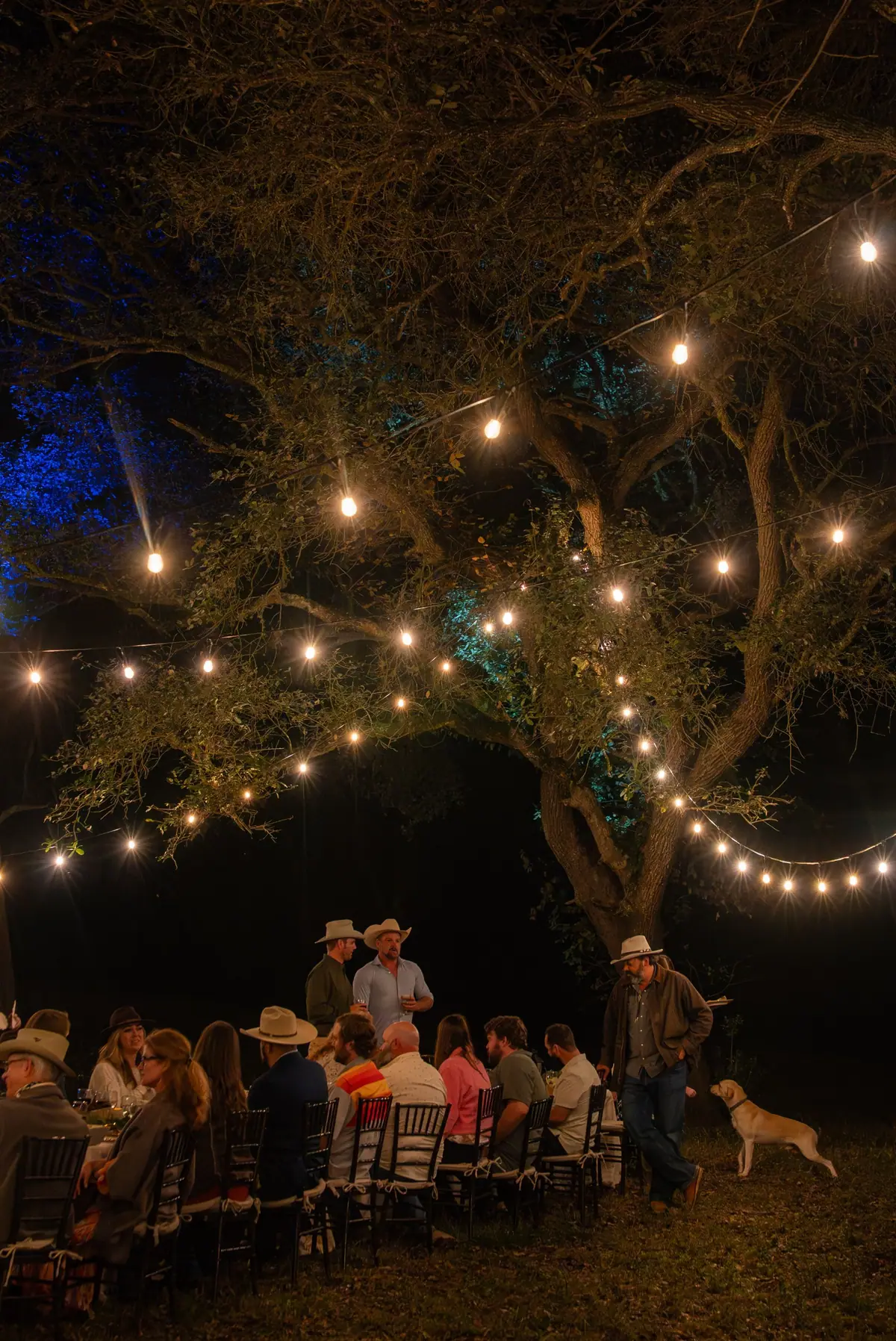 Guests at a long table under string lights and a live oak at night