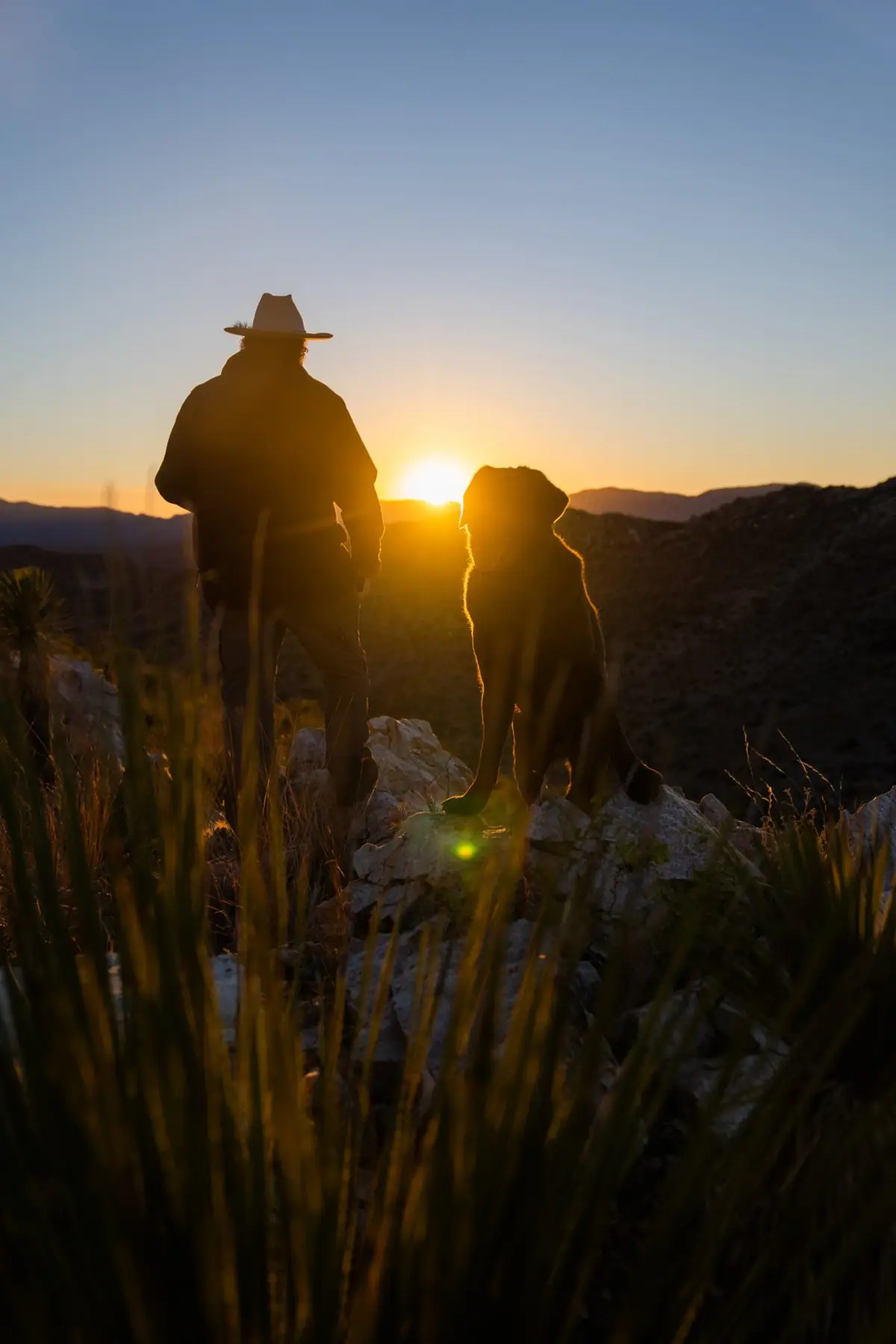Texas Josh and his Labrador at sunset